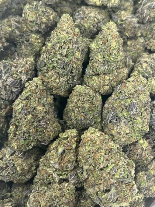 Apple Gelato Backpackboyz are now available in stock online for affordable prices, buy apple gelato strain backpackboyz online now